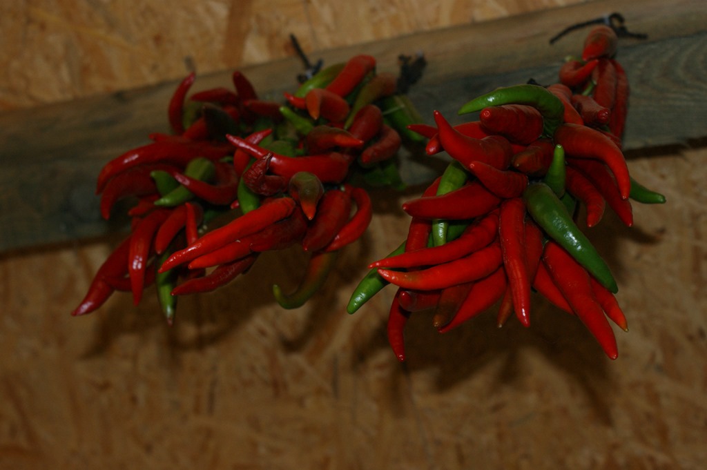 Its chilli time